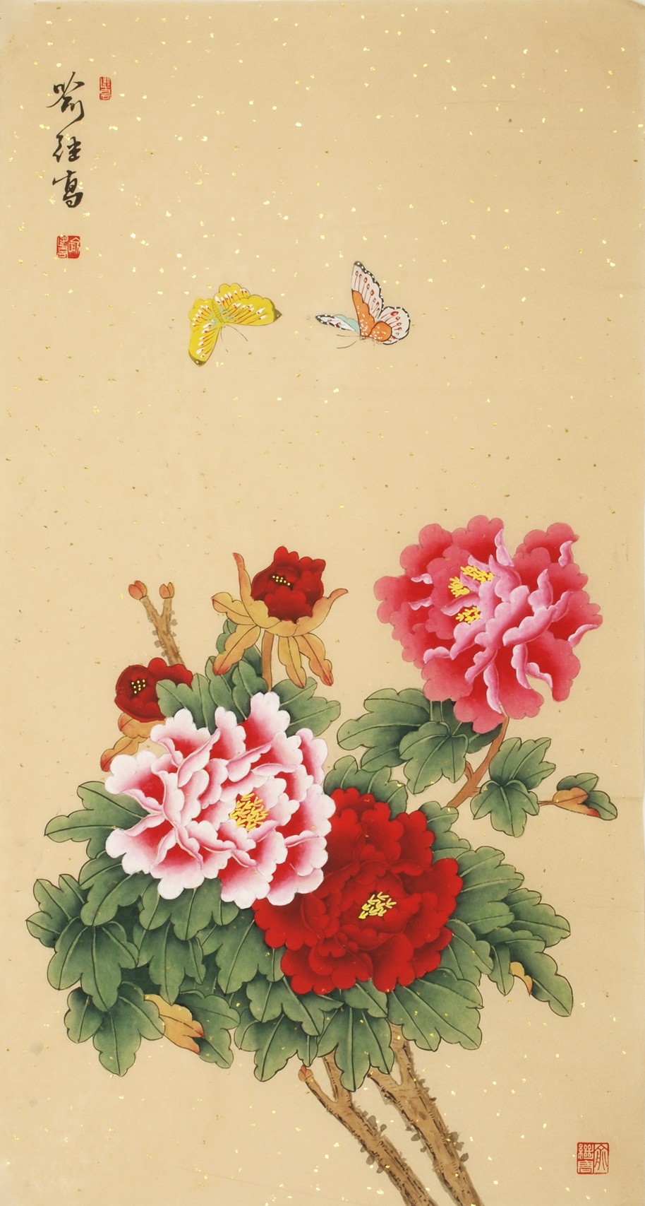 Peony - CNAG000685