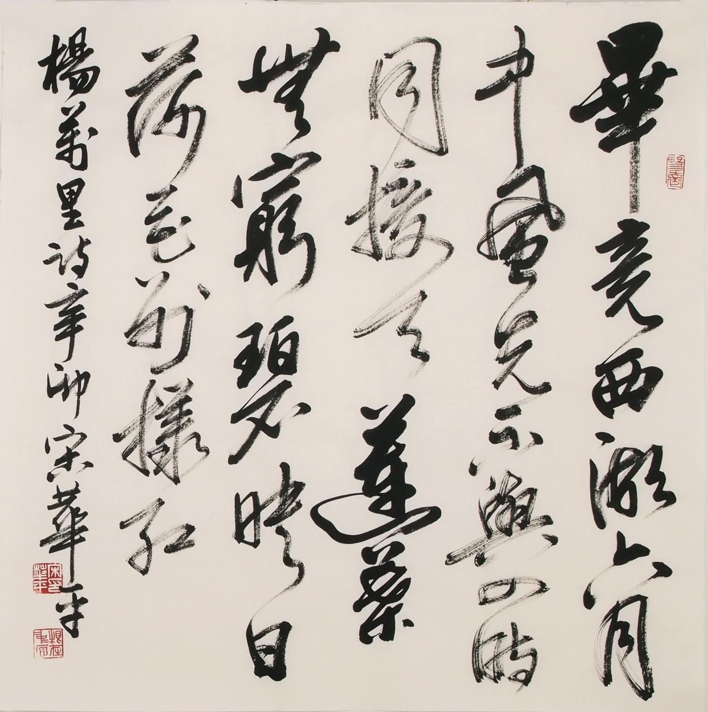 Cursive Scripts - CNAG006852