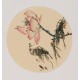 Lotus - CNAG006865