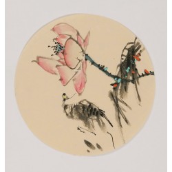 Lotus - CNAG006865