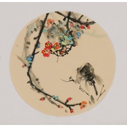 Plum - CNAG006867