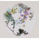 Wisteria - CNAG006868