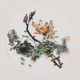 Lotus - CNAG006871