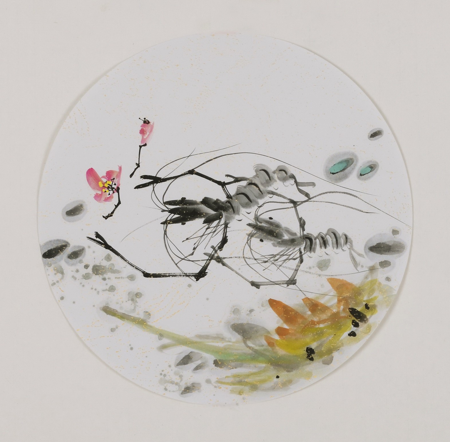 Shrimp - CNAG006872