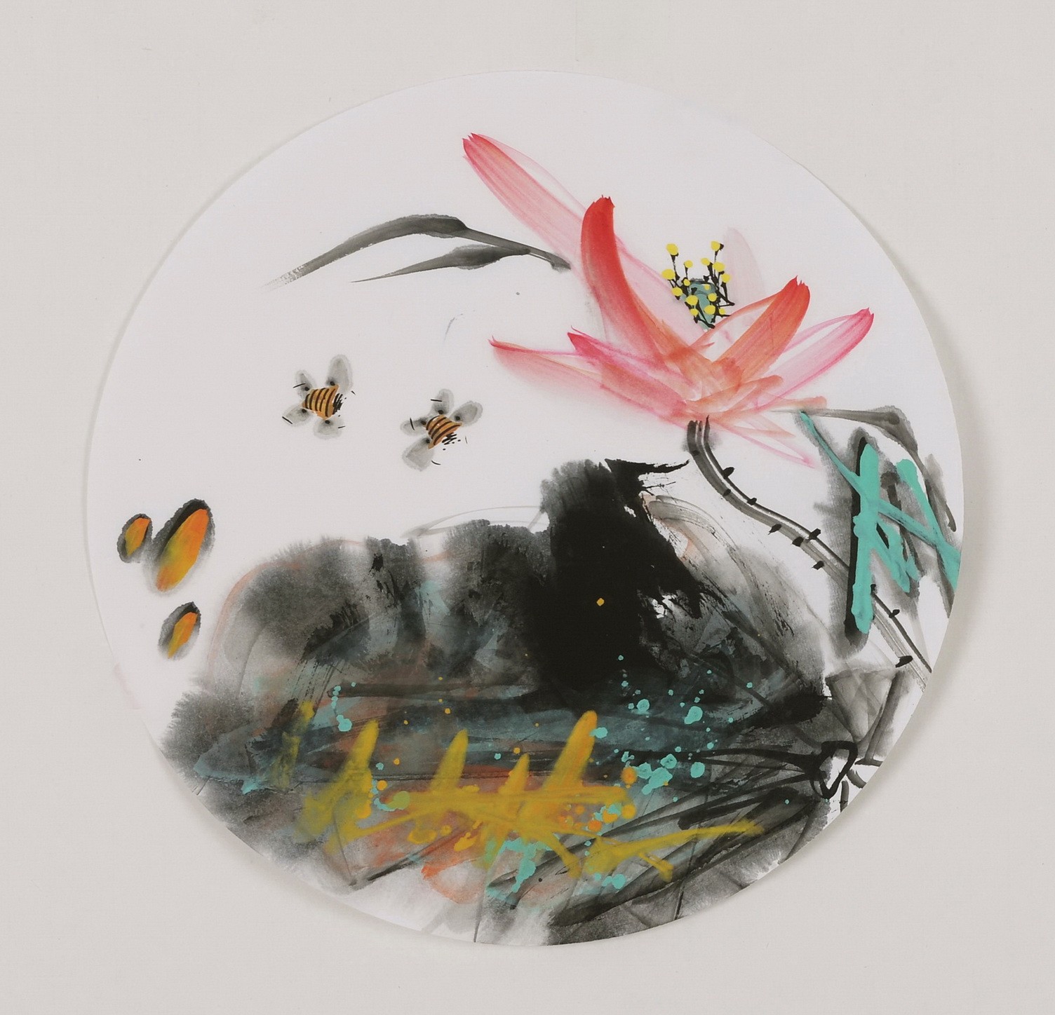 Lotus - CNAG006879