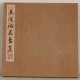 Other Birds - CNAG006885