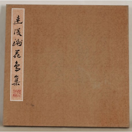 Other Birds - CNAG006885
