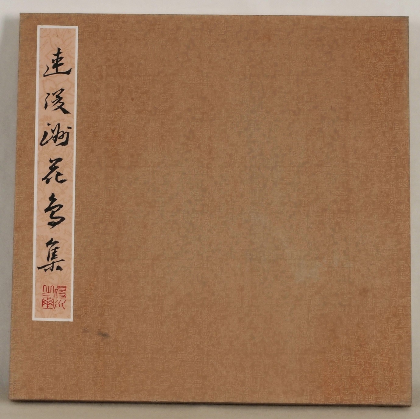 Other Birds - CNAG006885