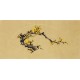 Plum - CNAG006887