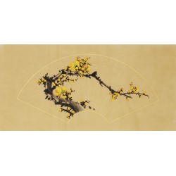 Plum - CNAG006887