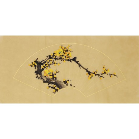 Plum - CNAG006887