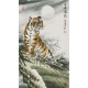 Tiger - CNAG000069