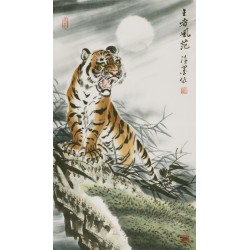 Tiger - CNAG000069