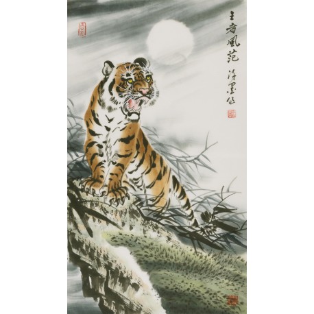 Tiger - CNAG000069