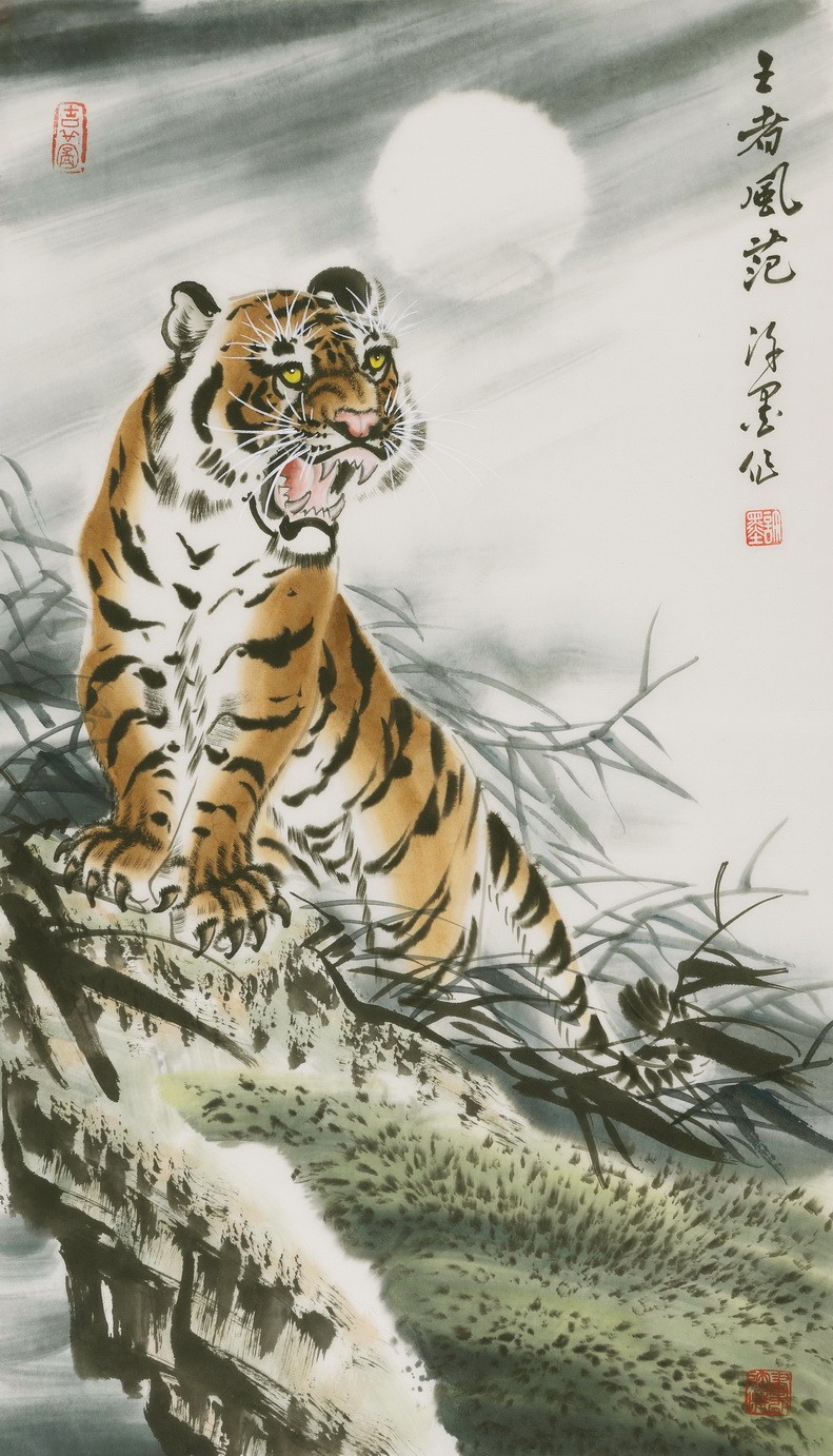 Tiger - CNAG000069