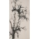 Ink Bamboo - CNAG000694