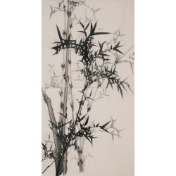 Ink Bamboo - CNAG000694