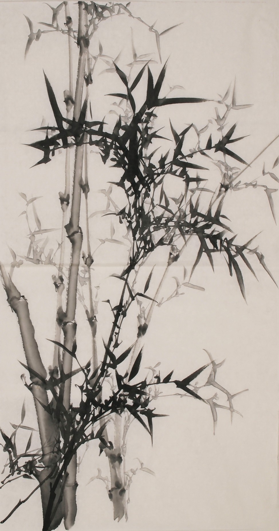 Ink Bamboo - CNAG000694