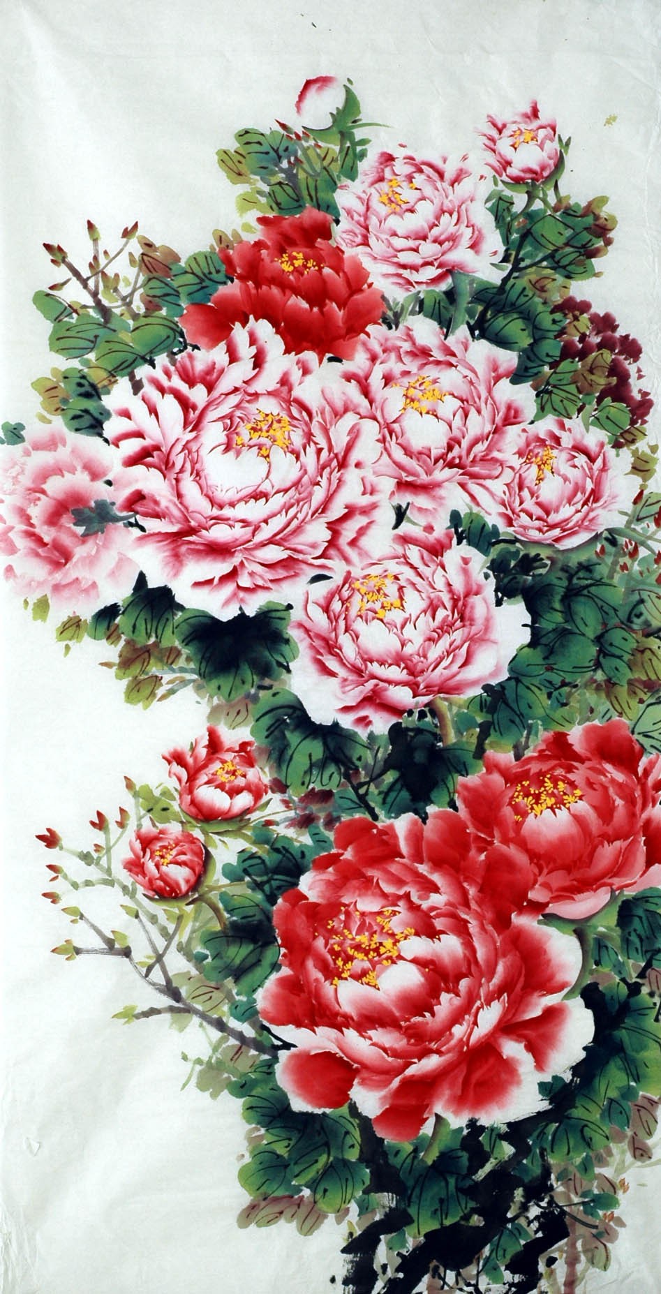 Chinese Peony Painting - CNAG007033