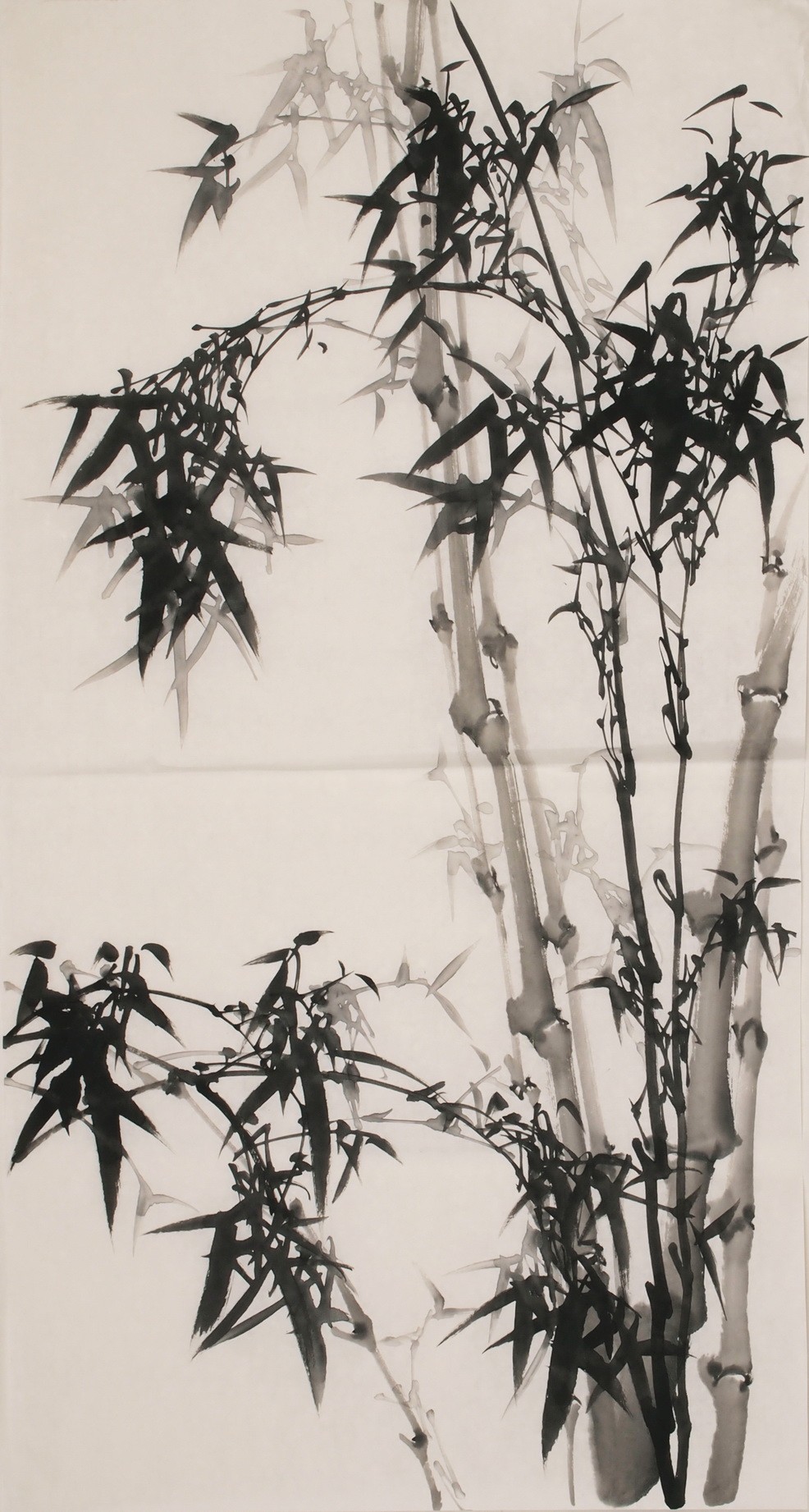 Ink Bamboo - CNAG000695