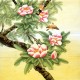 Chinese Plum Painting - CNAG007049