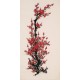 Plum - CNAG000696