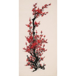 Plum - CNAG000696