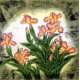 Chinese Plum Painting - CNAG007056