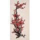 Plum - CNAG000697