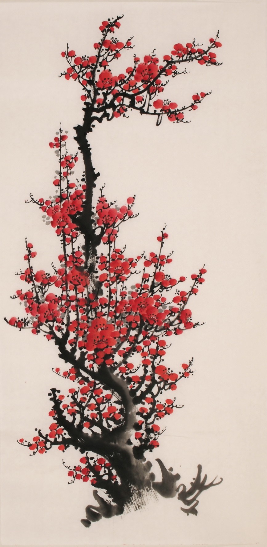 Plum - CNAG000697