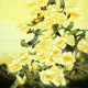 Chinese Plum Painting - CNAG007076