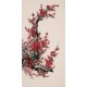 Plum - CNAG000699