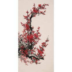 Plum - CNAG000699