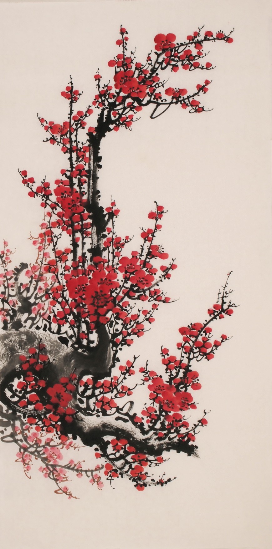 Plum - CNAG000699