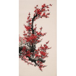 Plum - CNAG000700