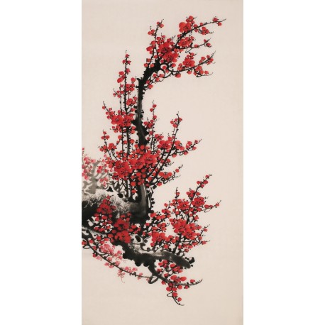 Plum - CNAG000700