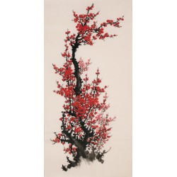 Plum - CNAG000701