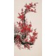 Plum - CNAG000702