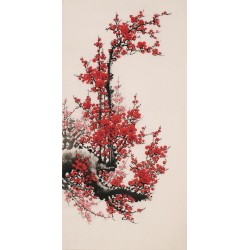 Plum - CNAG000702