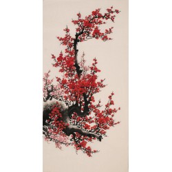 Plum - CNAG000704
