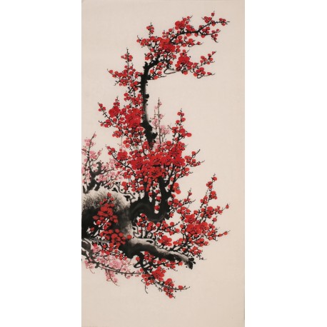 Plum - CNAG000704