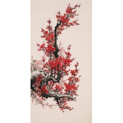 Plum - CNAG000705