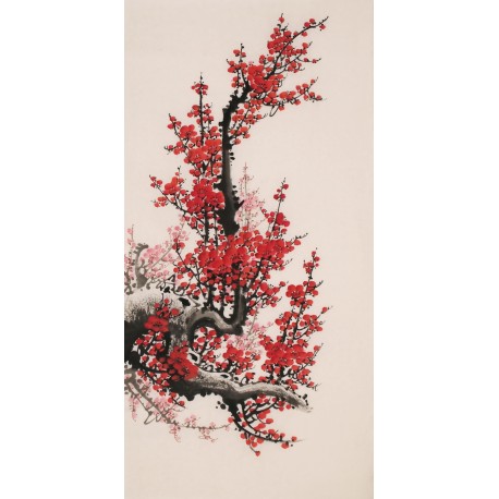Plum - CNAG000705