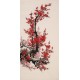 Plum - CNAG000706