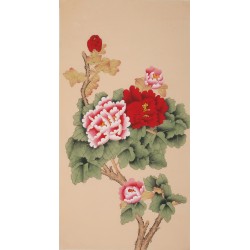 Peony - CNAG000708