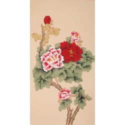 Peony - CNAG000709