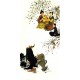 Chinese Cursive Scripts Painting - CNAG007199