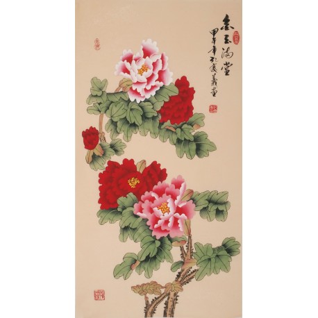 Peony - CNAG000711