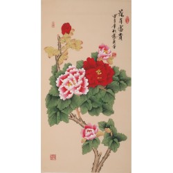 Peony - CNAG000712