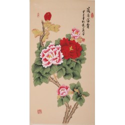 Peony - CNAG000713